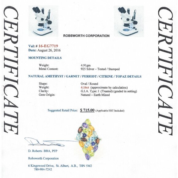 .925 Sterling Silver Amethyst/Garnet/Peridot/Citrine/Topaz Ring Size 8 $715 - Picture 4 of 6